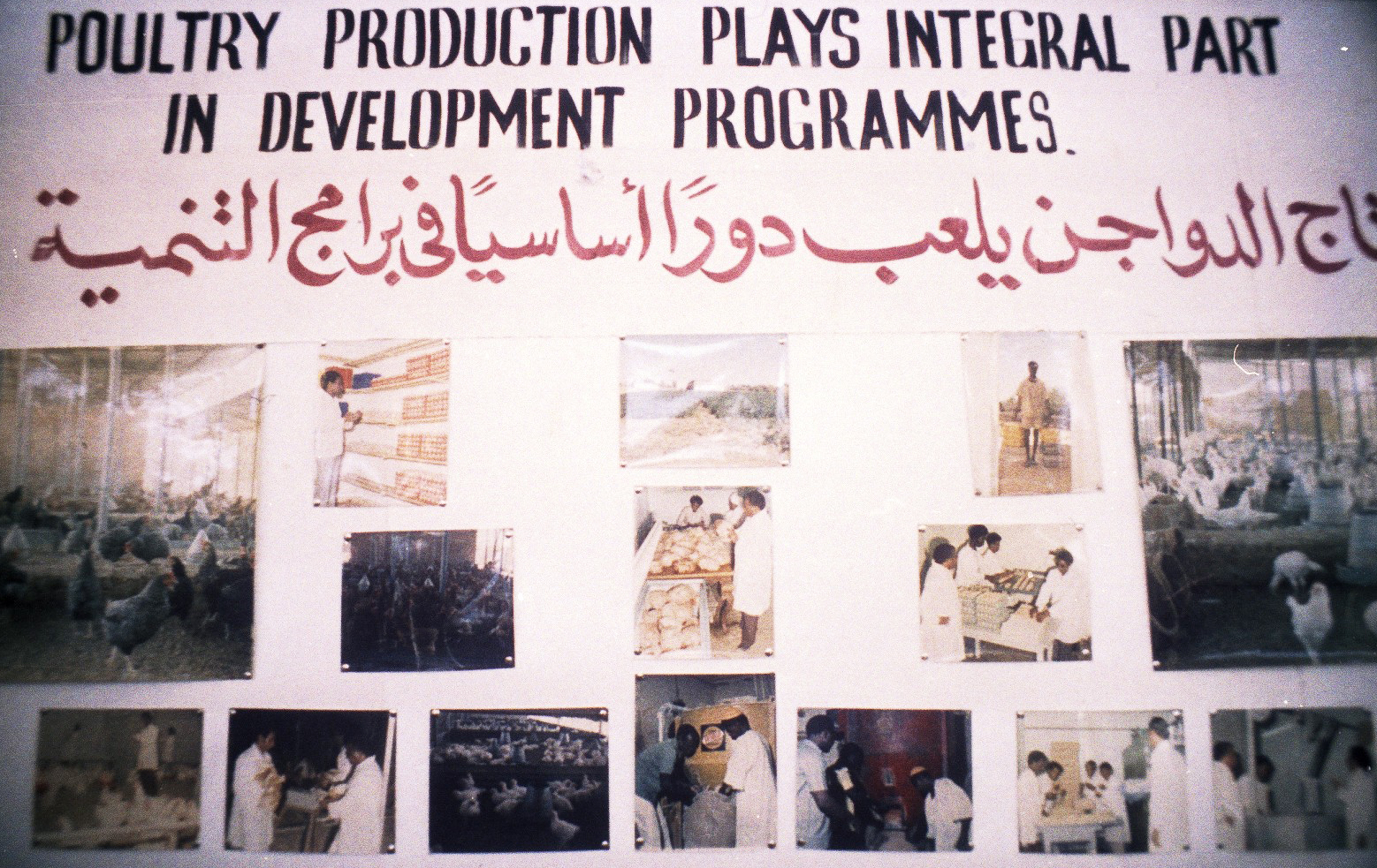 Kyllinge co-operativets stand